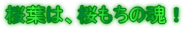 ���t�́A�������̍��I